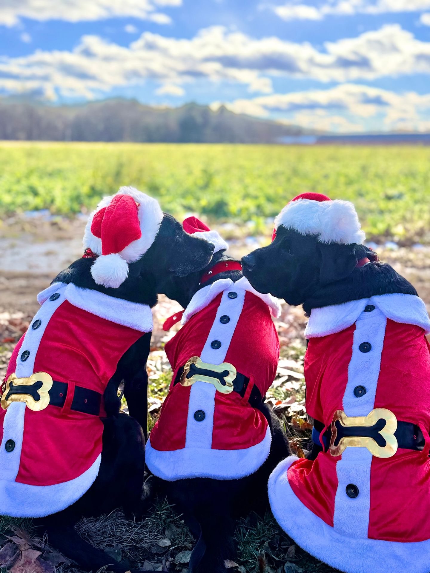 Myrtle Beach Apartment: 3703 Claypond Road