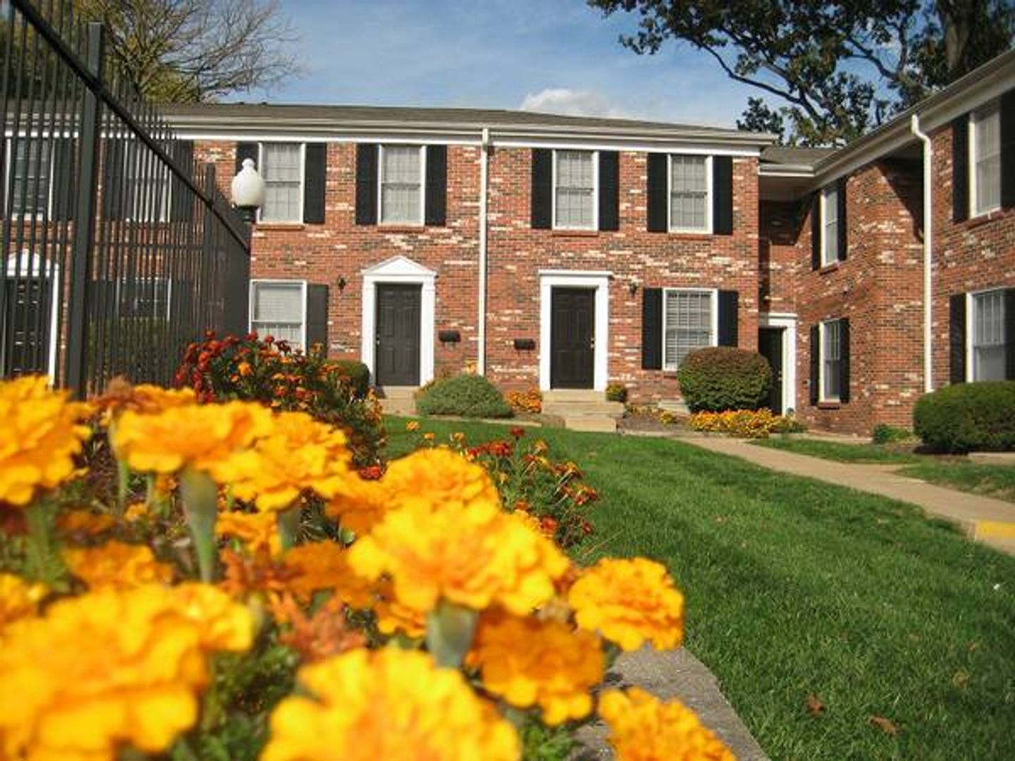 St. Louis Townhome: 1090-1108 N Hanley, 7461-98 Ahern