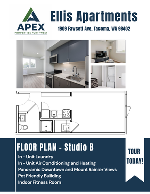 The Ellis Apartments - Unit 209 – photo 1