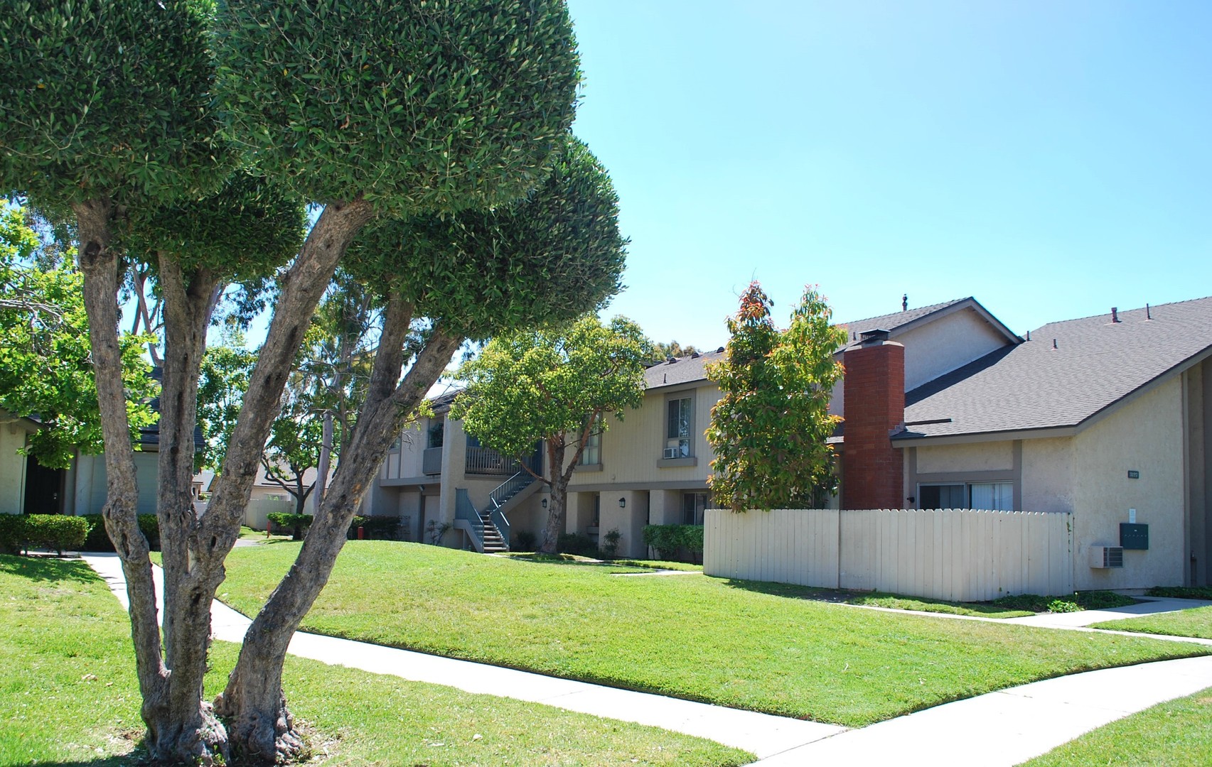 Anaheim Hills Apartment: 5101 Marita Lane