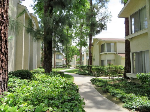 Spacious 1 Bed + 1 Bath Apartment Home!