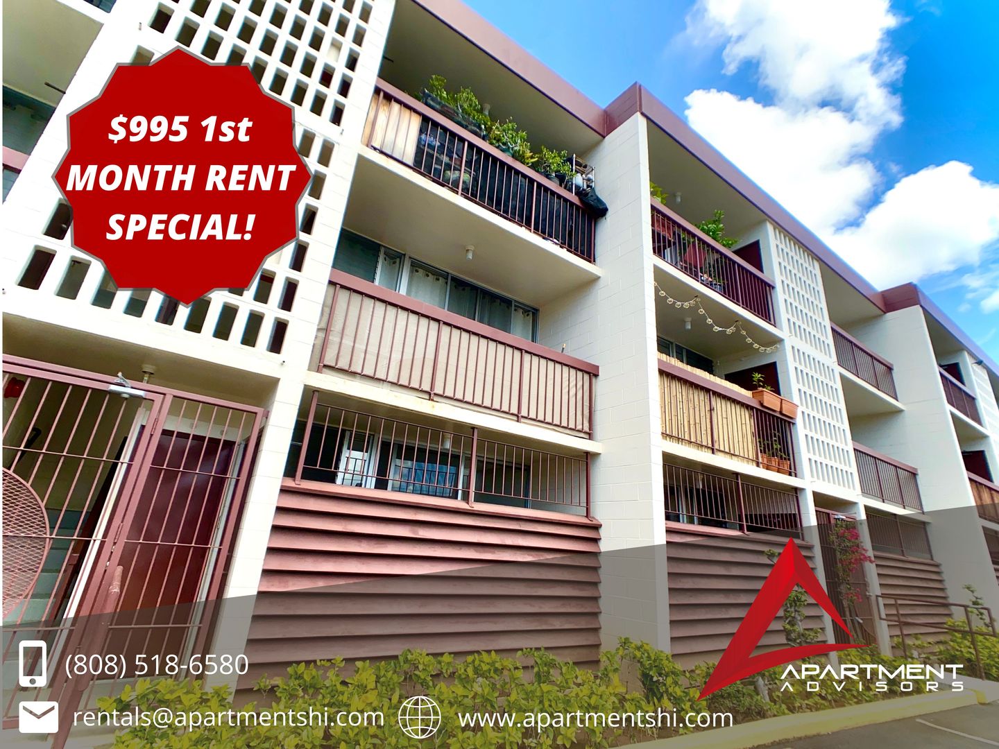 Honolulu Apartment: 816 Birch Street