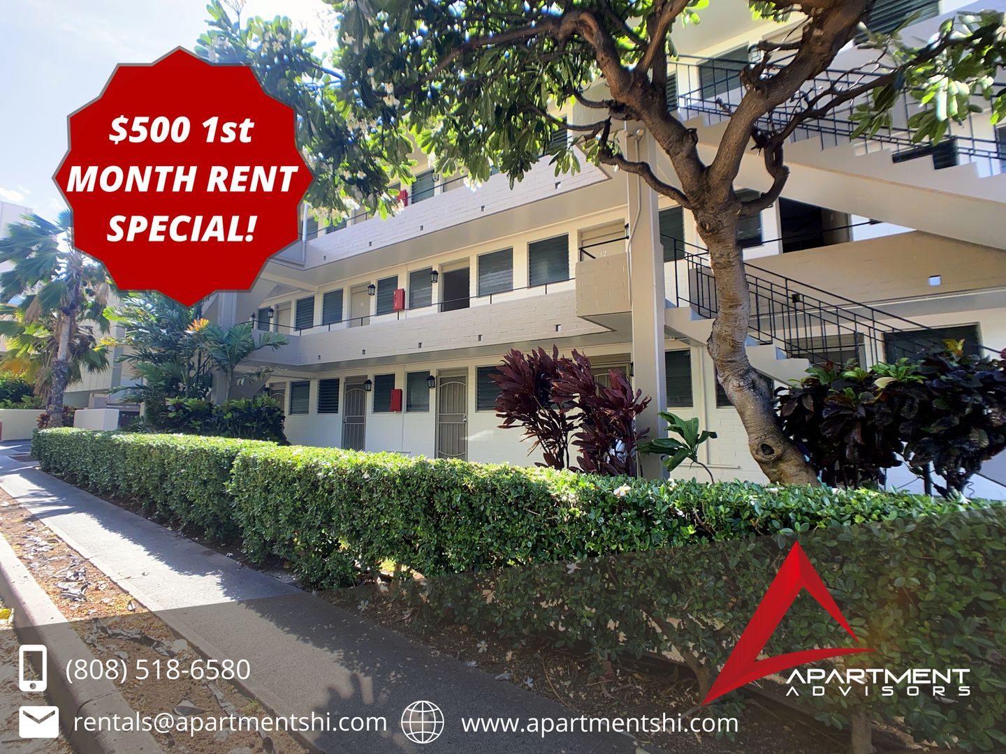 Honolulu Apartment: 264 Kaiulani Ave