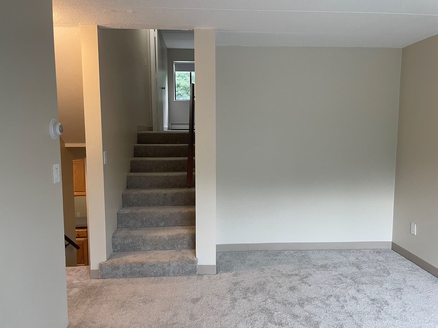 Wakefield Apartment: 11 Bartley  Street