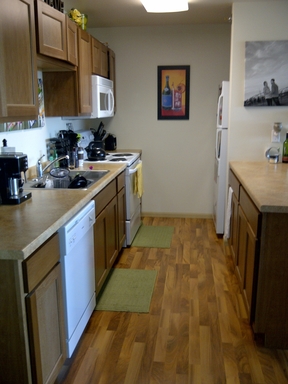 Pet Friendly near Downtown – photo 1