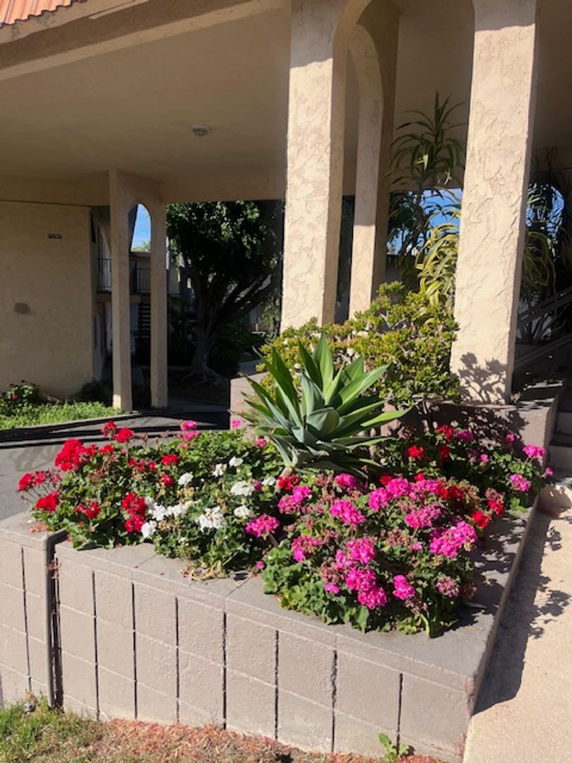 La Mesa Apartment: 7482 Mohawk Street