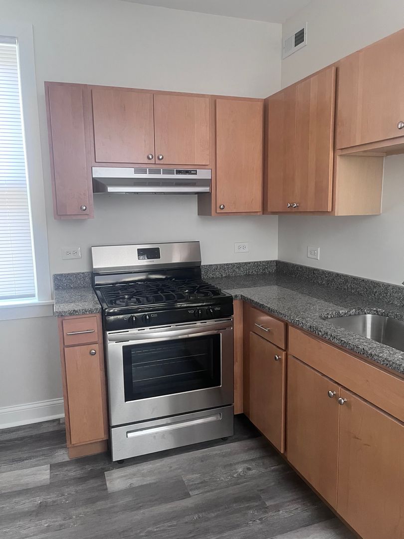 Chicago Apartment: 1007 N. Lavergne Ave