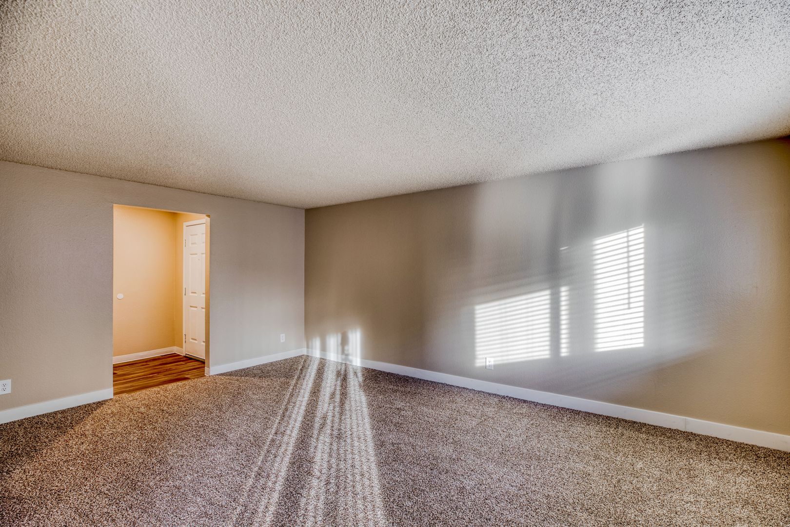 Alta Apartments 4 of 12