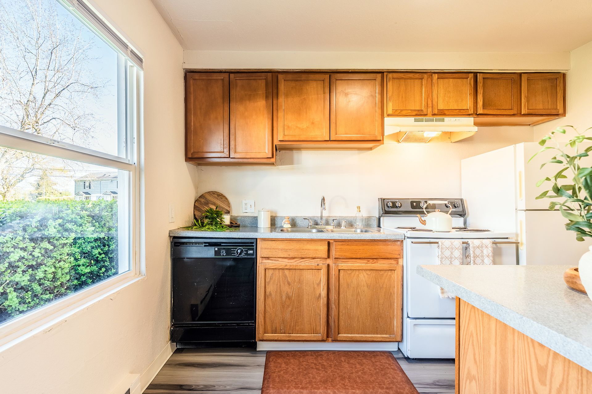Lakewood Apartment: 8333 32nd Ave S