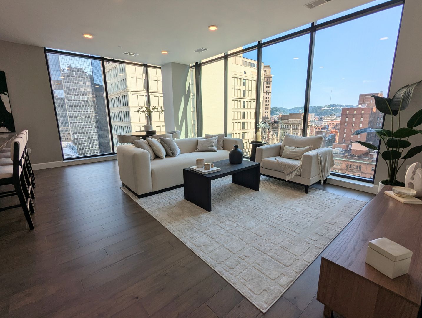 Pittsburgh Condo: 350 Oliver Avenue