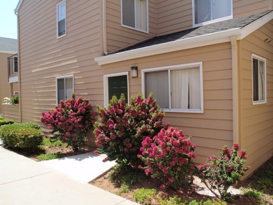 Escondido Apartment: 1068 North Broadway