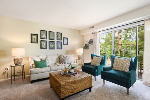 Amazing One bedroom Specials! – photo 1
