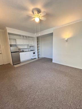 Studio, Edgewater Beach, 5 minutes to the Beach, Red Line and shopping! – photo 1