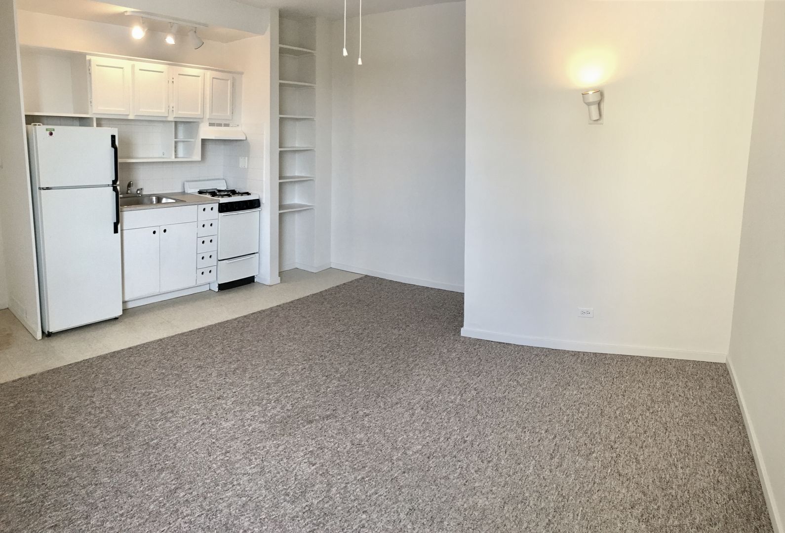 Chicago Apartment: 5734 N Winthrop Ave