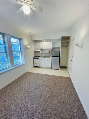 Studio! Steps to the Red Line, Edgewater Beach, Shopping, Dinning and More! – photo 1