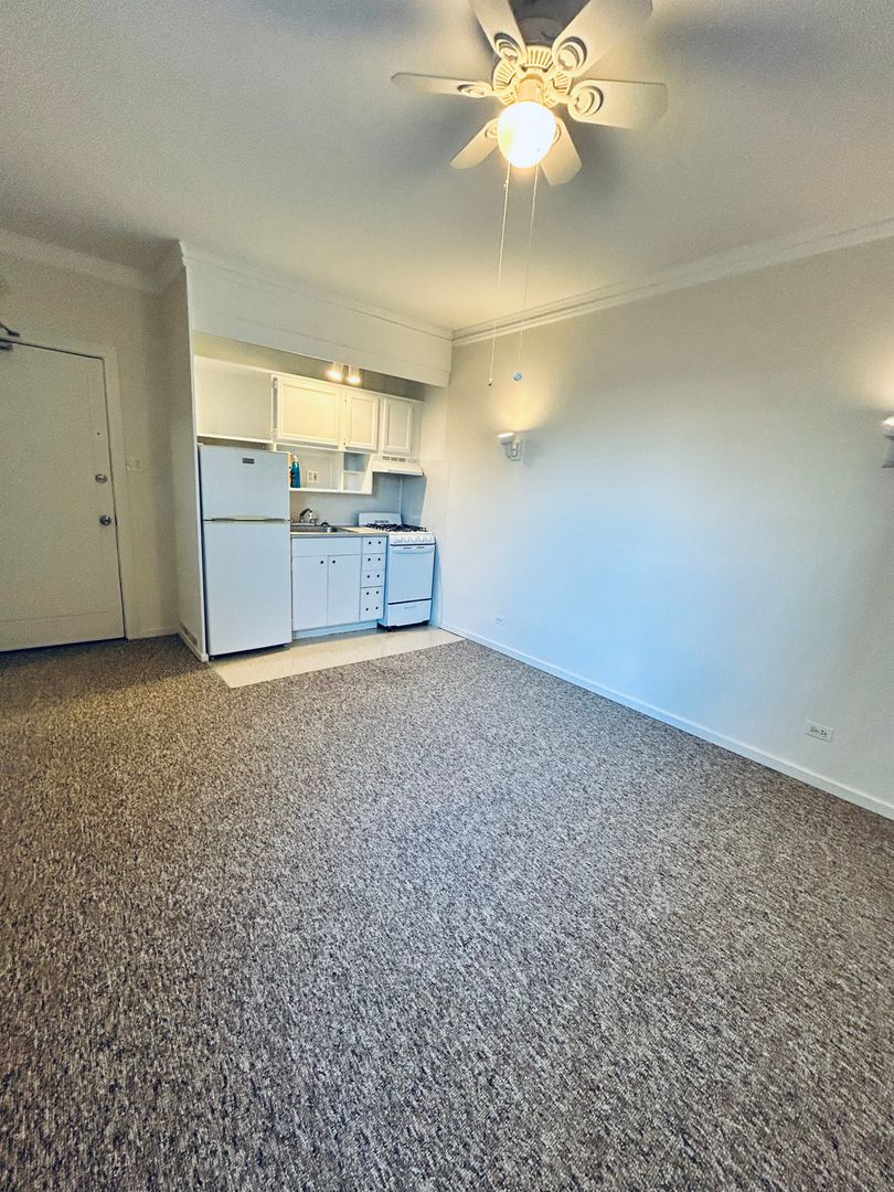 Chicago Apartment: 5734 N Winthrop Ave