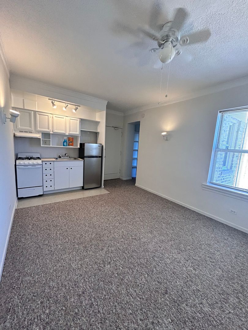 Chicago Apartment: 5734 N Winthrop Ave