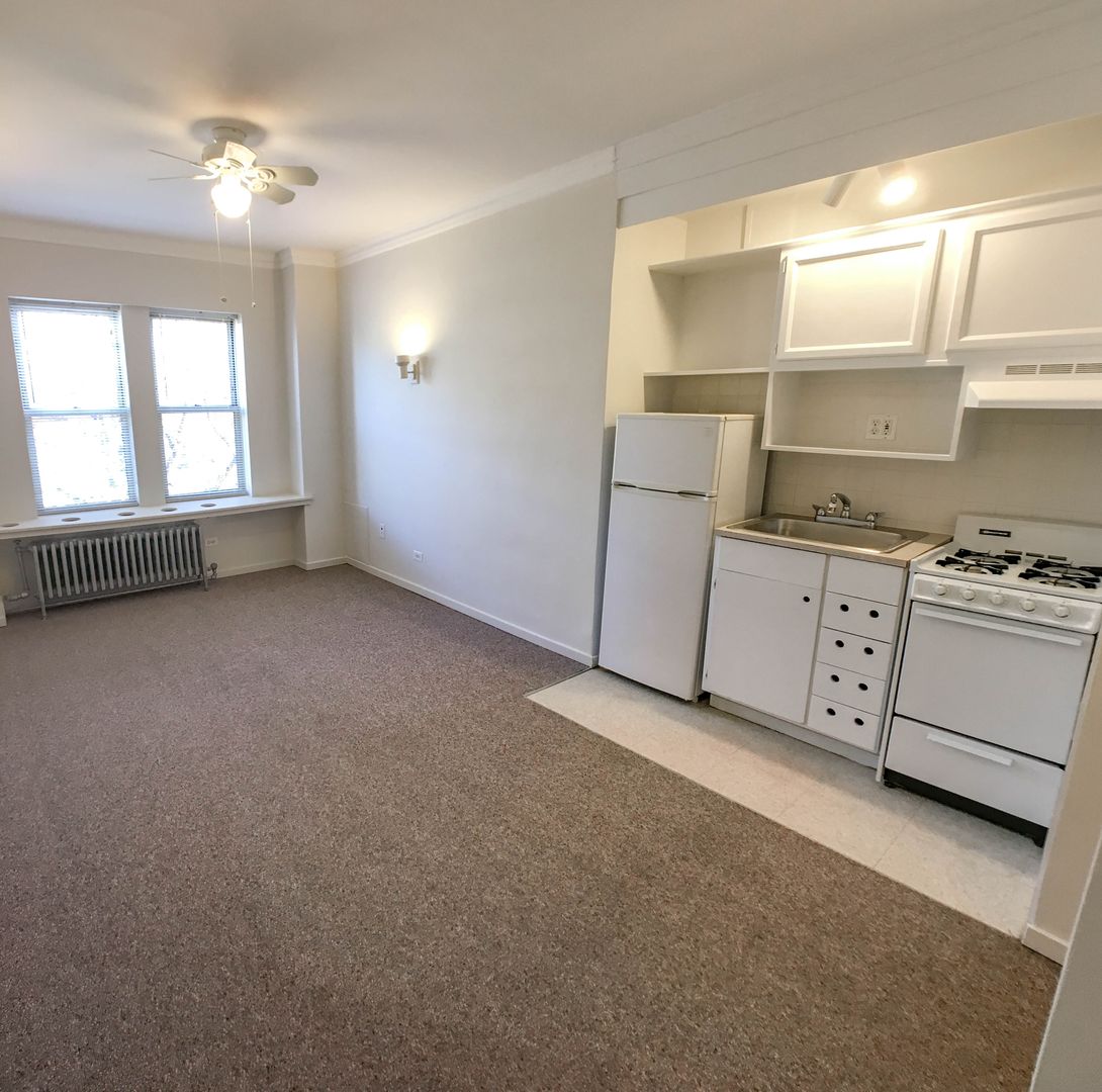 Chicago Apartment: 5734 N Winthrop Ave
