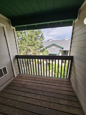 1100 Goeglein Gulch, 206, Durango, CO 81301
