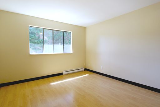 Beautiful Studio in Burien with Free Electricity!!