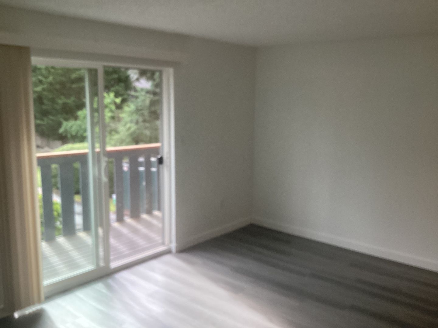 Bothell Apartment: 11119 Woodinville Dr
