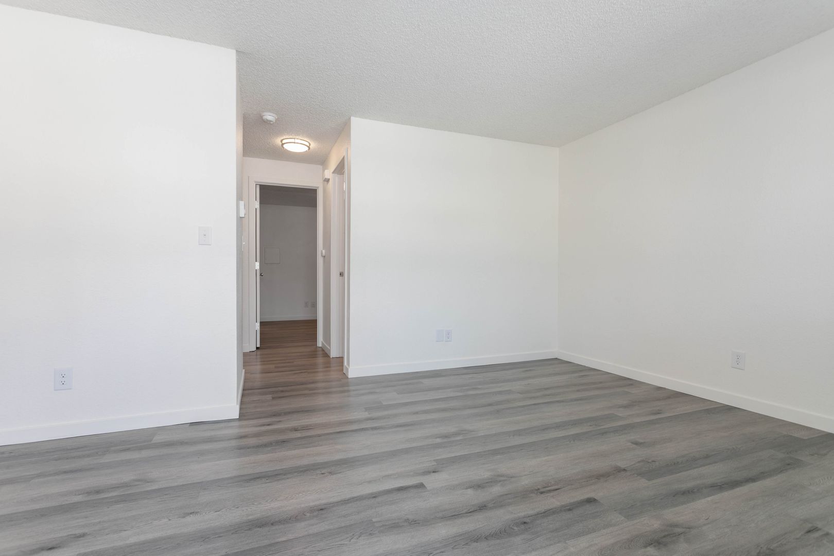 Bellingham Apartment: 621 32nd St