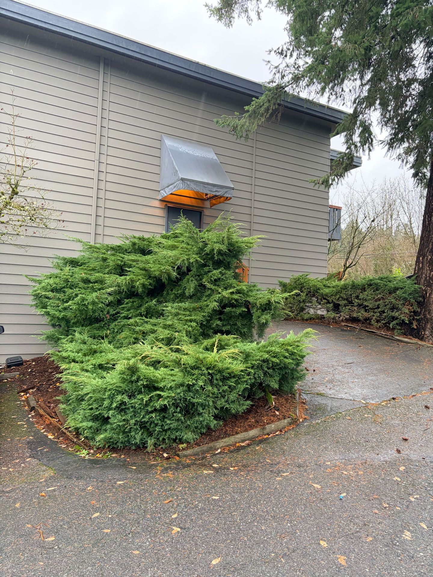 Bothell Apartment: 11119 Woodinville Dr