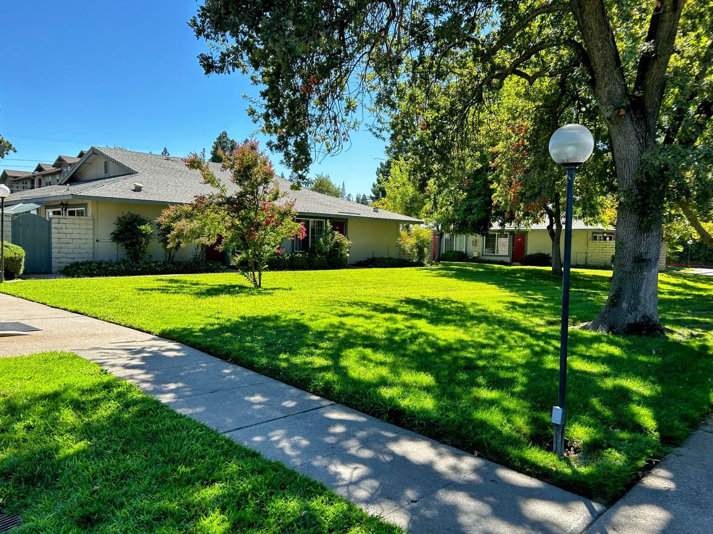 Sacramento Apartment: 1181 Fulton Ave