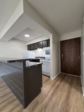Conveniently located 1-bedroom, 1-bathroom apartment for rent – photo 1