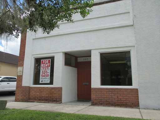 Office or salon space directly across street from citrus courthouse – photo 1