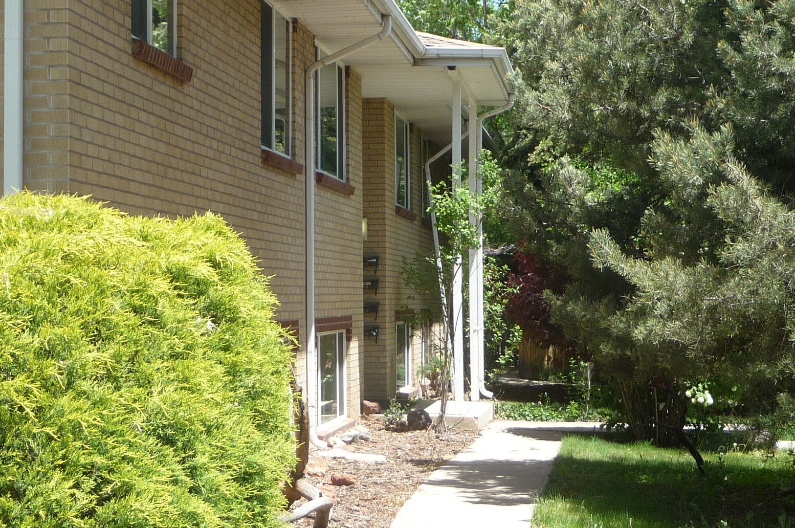 Golden Apartment: 1020 8th St