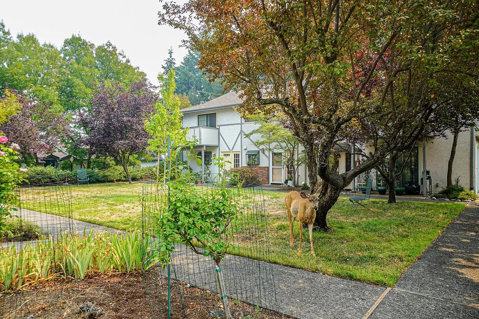 Ashland Townhome: 495 Chestnut St #20