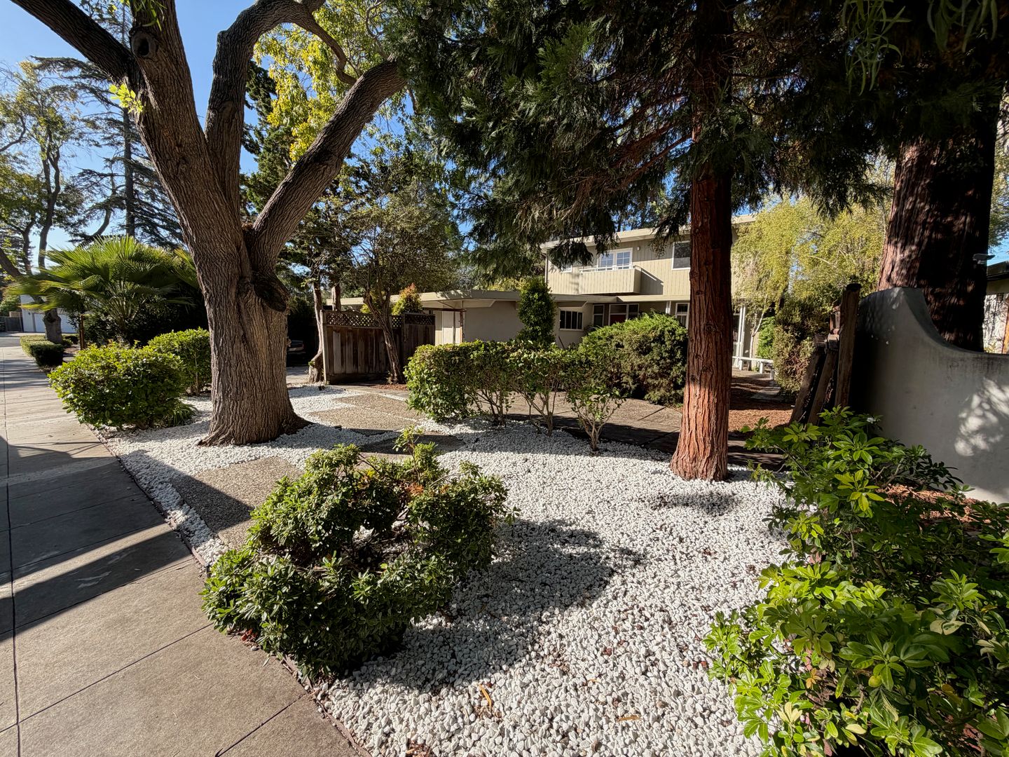 Palo Alto House: 3630 Lupine Ave