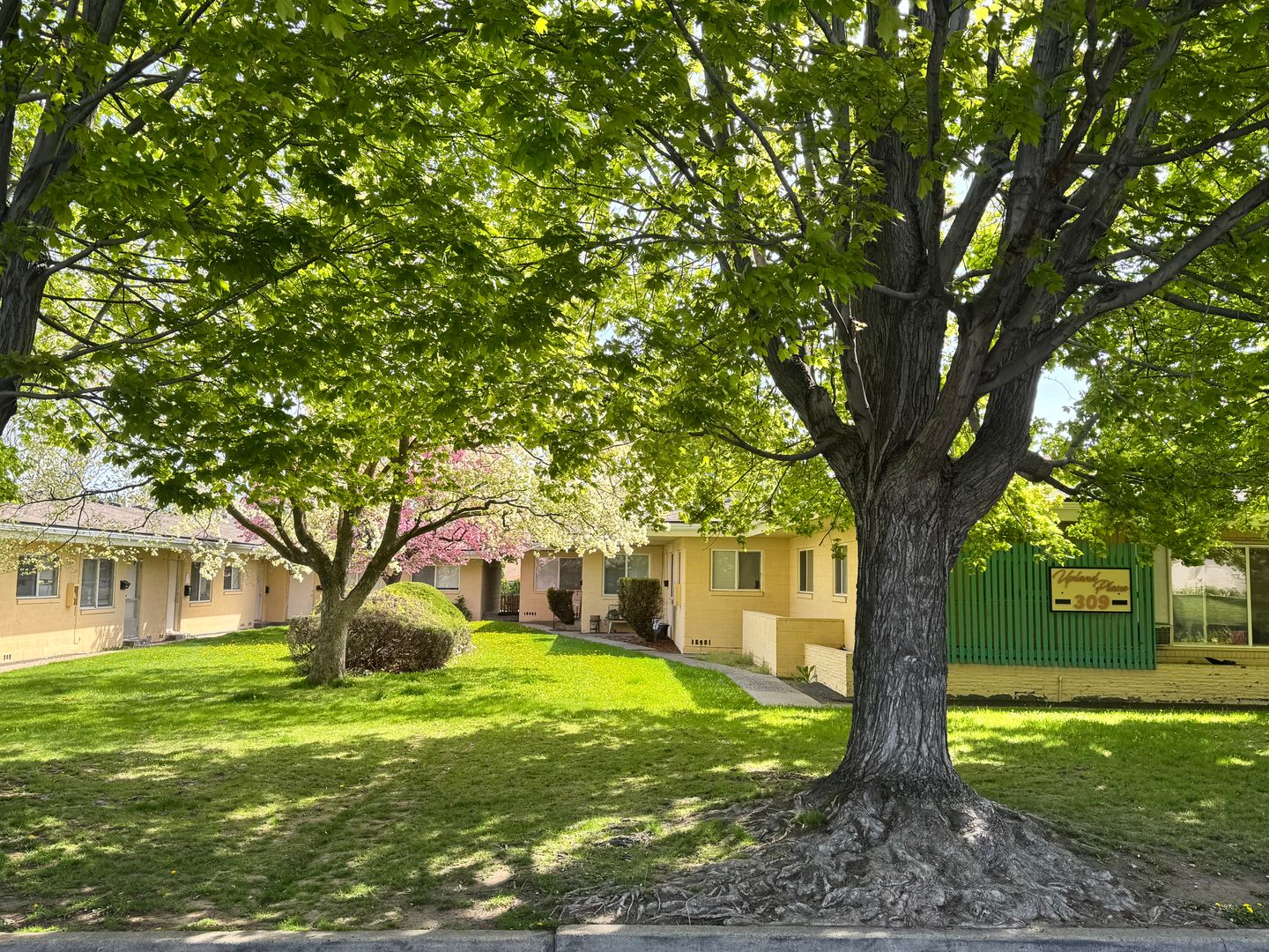 Yakima Apartment: 309 N. 41st Ave