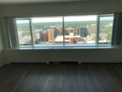 *SUMMER SPECIAL - NO APPLICATION FEE* Beautifully Renovated U of M Campus Studio With Breathtaking View from the 20th Floor – photo 1