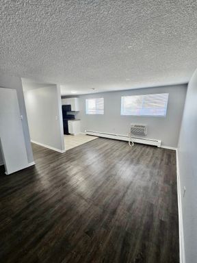Bright, Beautiful & Fully Remodeled 1-Bedroom! 50% OFF ONE MONTH’S RENT! – photo 1