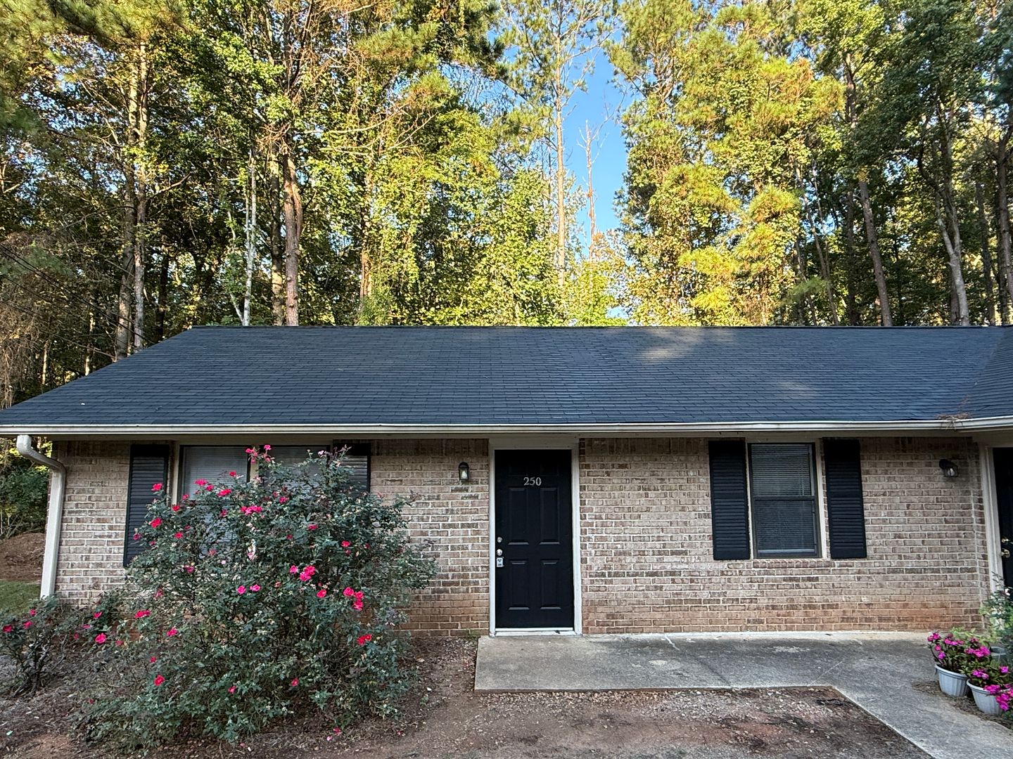 Athens Multiplex: 250 Reed St