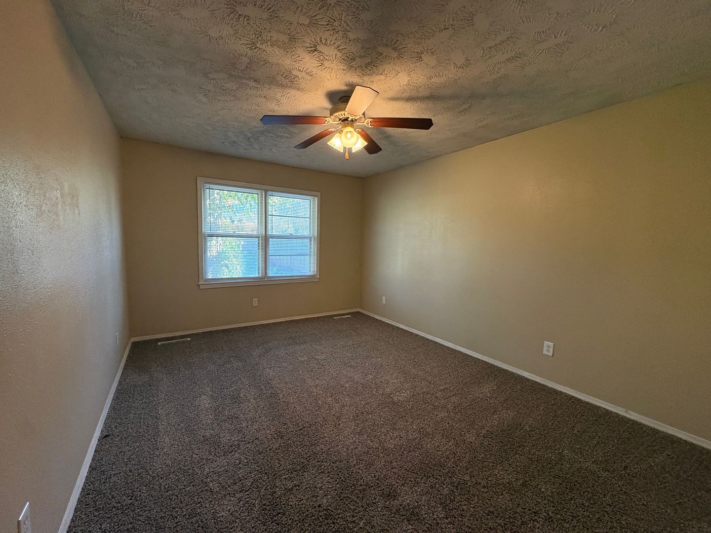 936 S Main, Springfield, MO 65806 - Photo 6