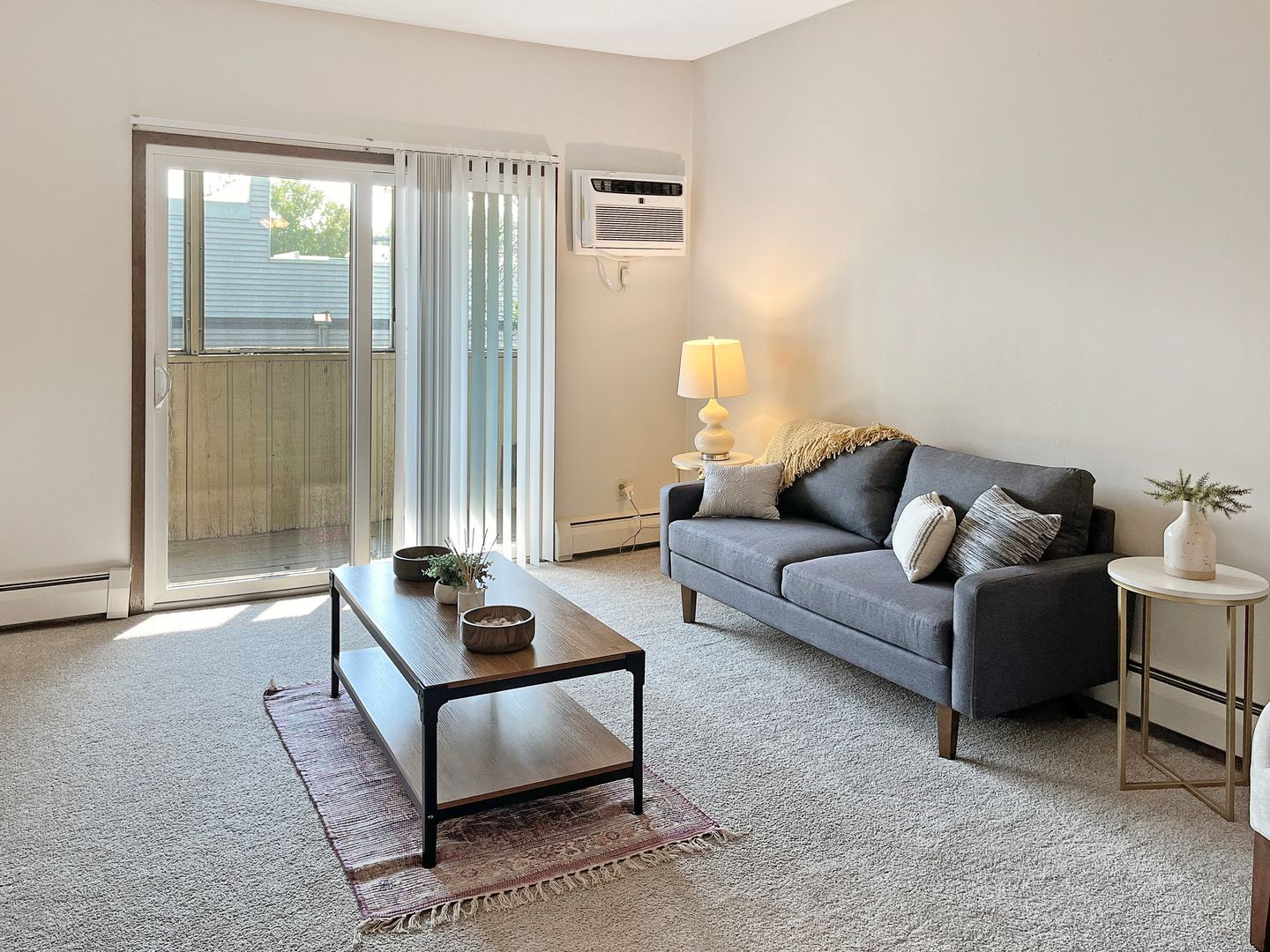 Minneapolis Apartment: 3031 Ewing Ave S