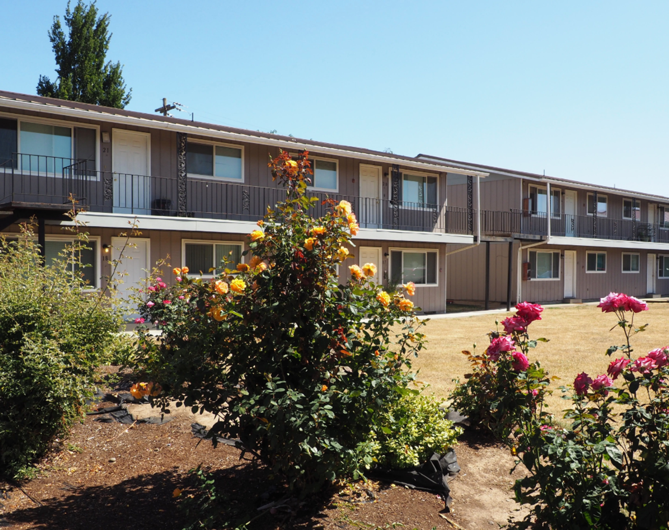 Corvallis Apartment: 970 NW Garfield Ave