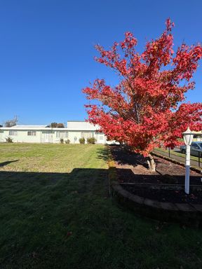 3 Bedroom 1.5 Bathroom Townhome in Philomath