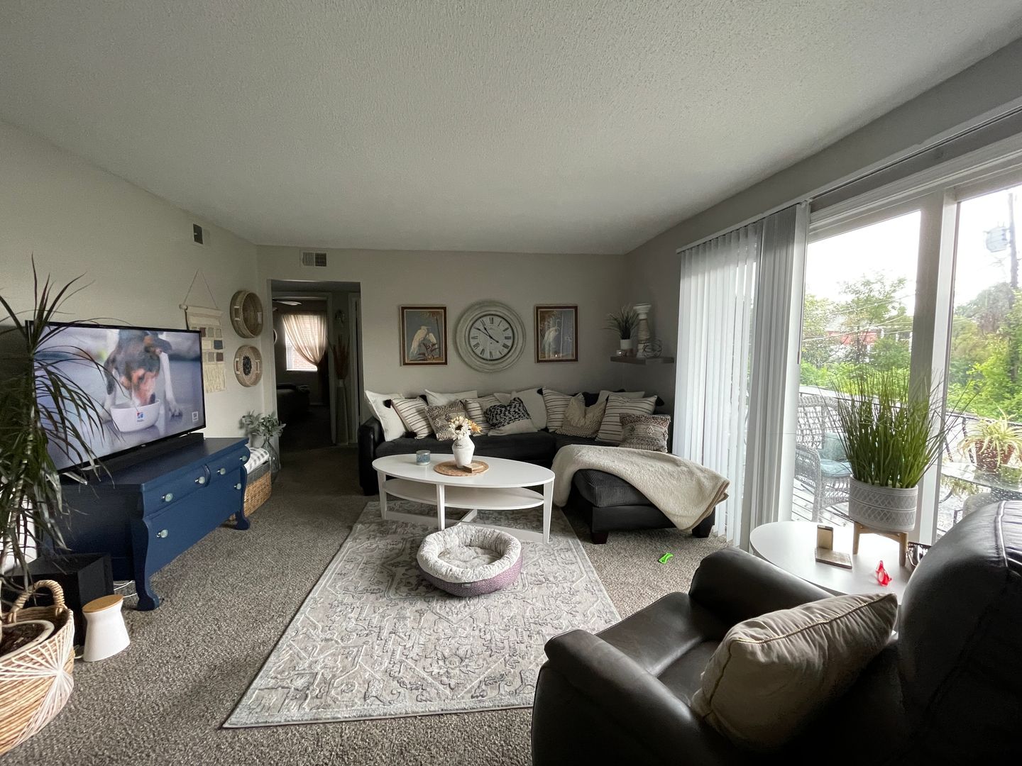 Mission Apartment: 5920 Reeds Rd