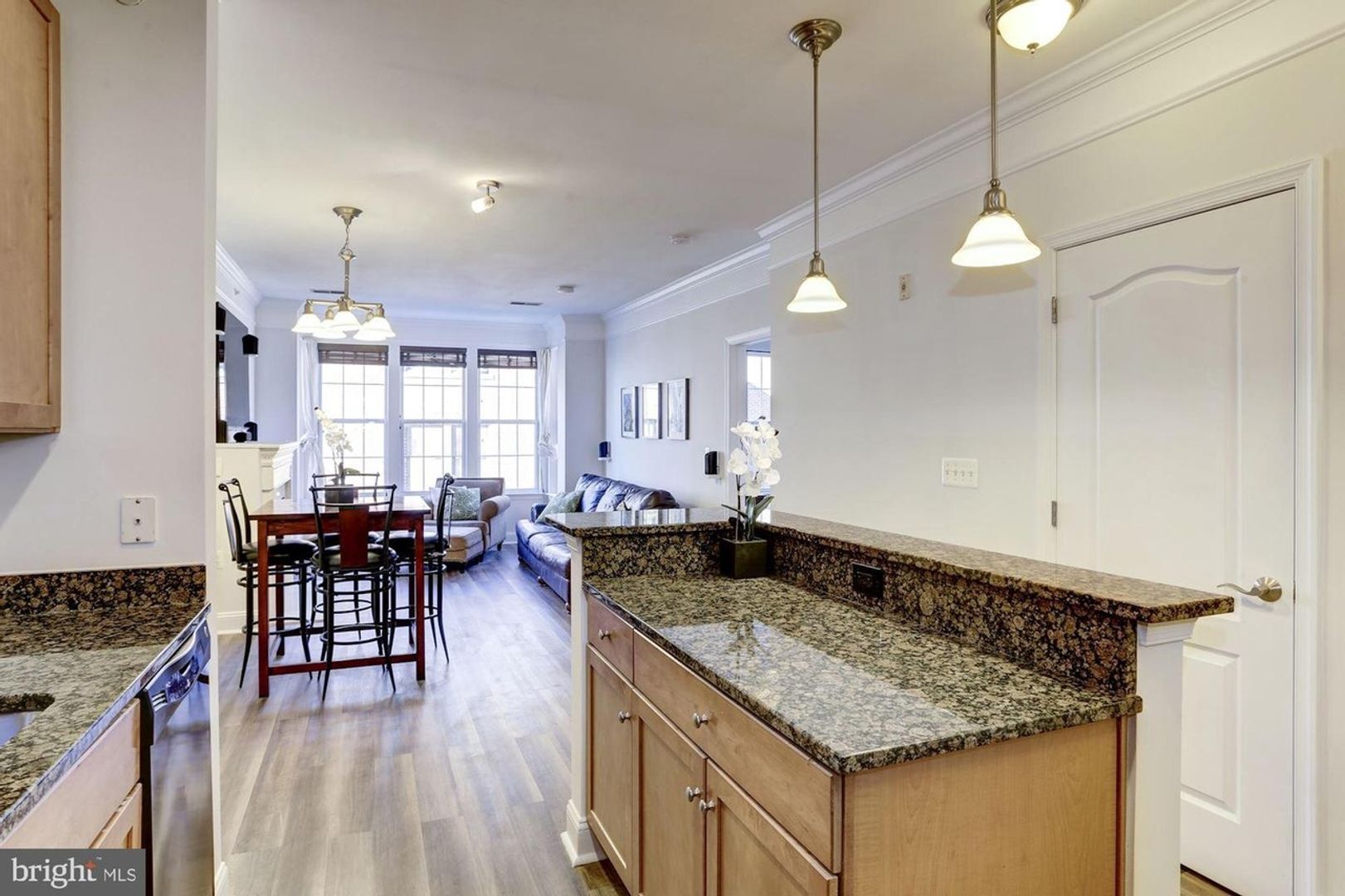 Washington Condo: 1451 Belmont St NW #402