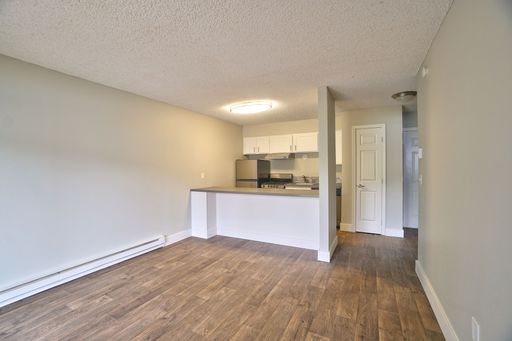 LIFE JUST GOT BETTER AT THE ZIMMER! – photo 1