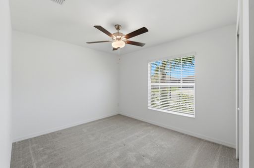 35029 Brackett Bend, Zephyrhills, FL 33541 photo 34