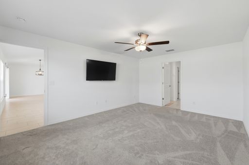 35029 Brackett Bend, Zephyrhills, FL 33541 photo 29