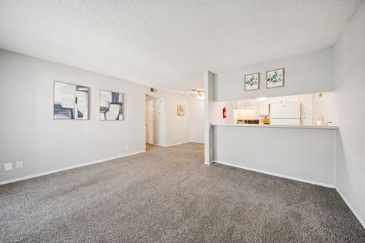 One Bedroom Apartment - Downstairs! Close To Front Office! – photo 1