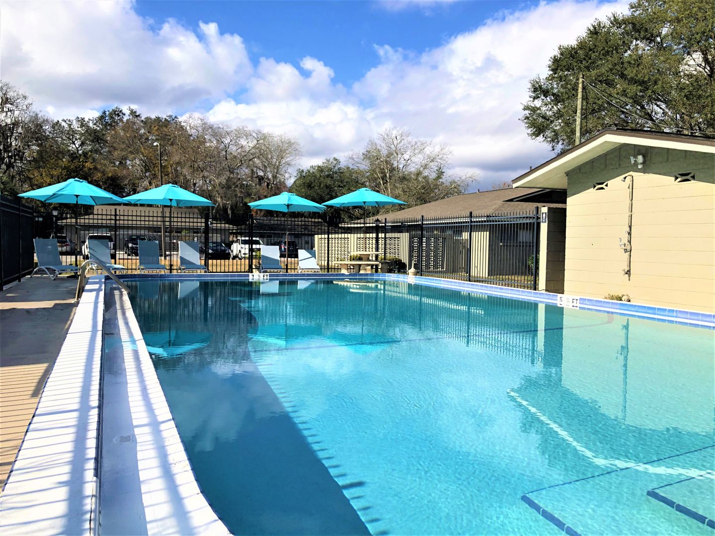 Pool at The Hammocks off 6th (3 of 5)
