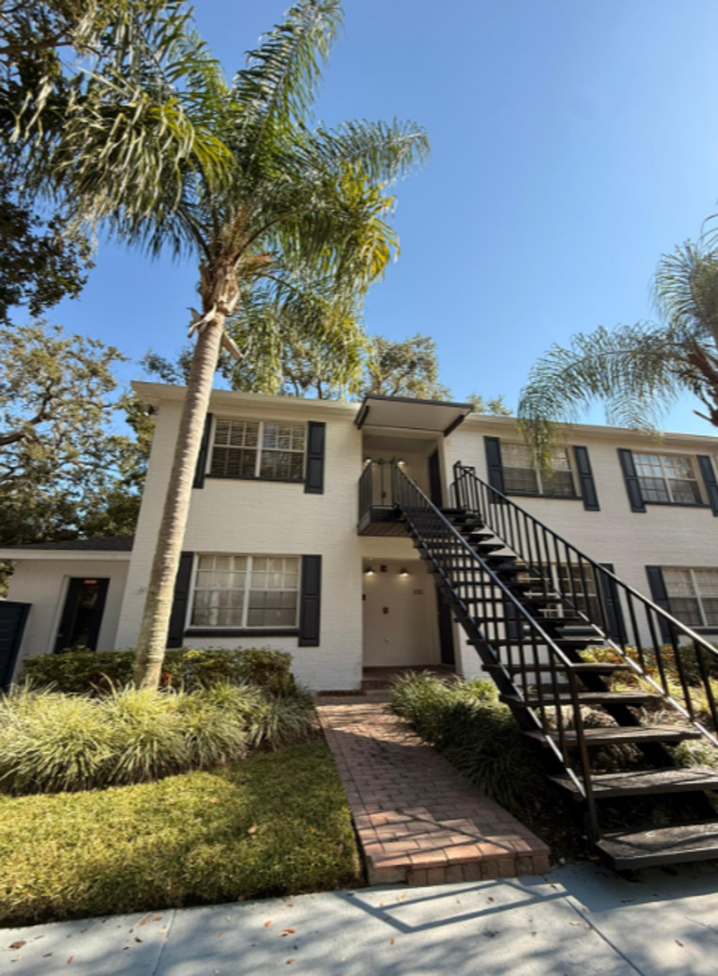 Tampa Apartment: 6822 S Shamrock Rd