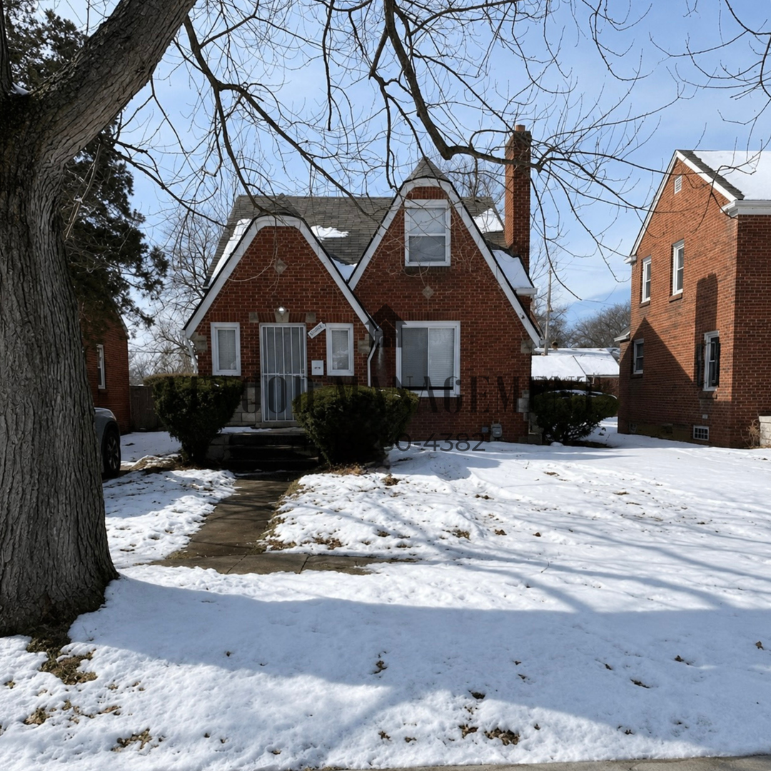 Detroit House: 10015 Robson St